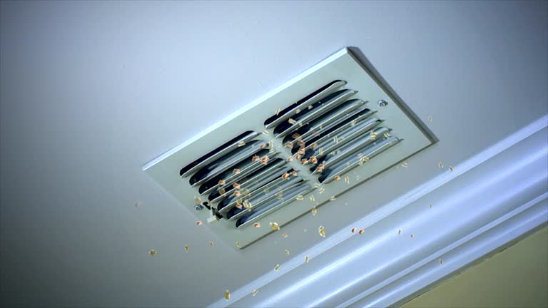 Best Residential Air Duct Cleaning  in Port St Lucie, FL